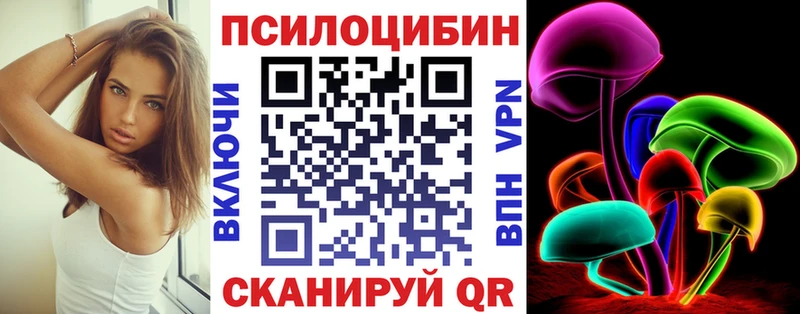 darknet состав  Кяхта  Псилоцибиновые грибы мухоморы 