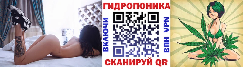 Конопля марихуана блэк спрут рабочий сайт Кяхта сколько стоит